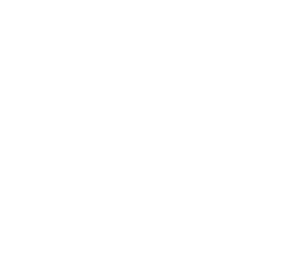 Saudi Pro League